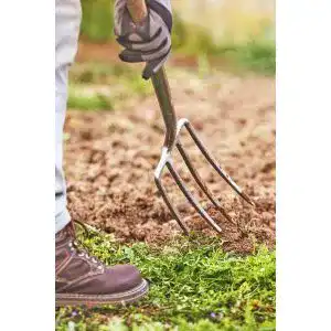 Die beste Blasenspiere 2026 Test Bestseller Blasenspiere