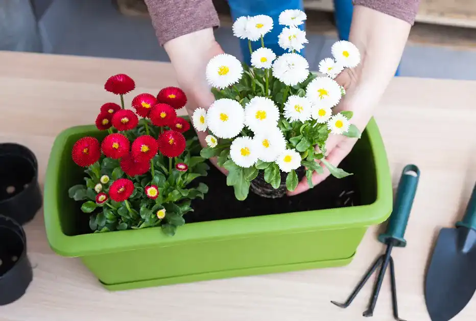Blumenkasten-mit-Wasserspeicher Blumenkasten-mit-Wasserspeicher