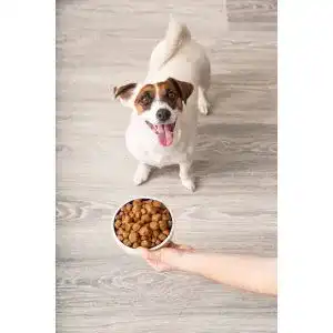 Die beste Deuka-Hundefutter 2026 Test Bestseller Deuka-Hundefutter