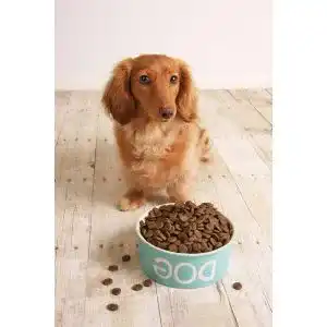 Die beste Deuka-Hundefutter 2026 Test Bestseller Deuka-Hundefutter
