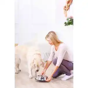 Die beste Deuka-Hundefutter 2026 Test Bestseller Deuka-Hundefutter