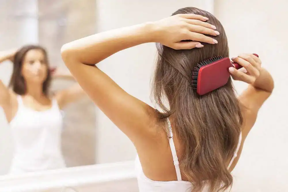 Extensions-Buerste Extensions-Buerste
