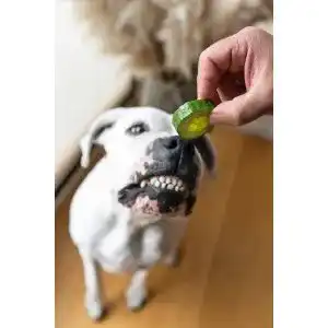 Gemueseflocken-Hund