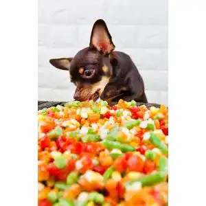 Gemueseflocken-Hund