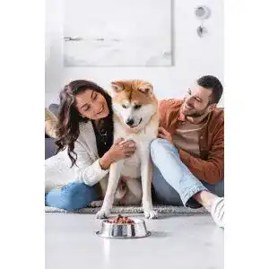 Die beste Glutenfreies Hundefutter 2026 Test Bestseller Glutenfreies-Hundefutter
