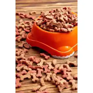 Die beste Glutenfreies Hundefutter 2026 Test Bestseller Glutenfreies-Hundefutter