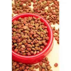 Die beste Glutenfreies Hundefutter 2026 Test Bestseller Glutenfreies-Hundefutter
