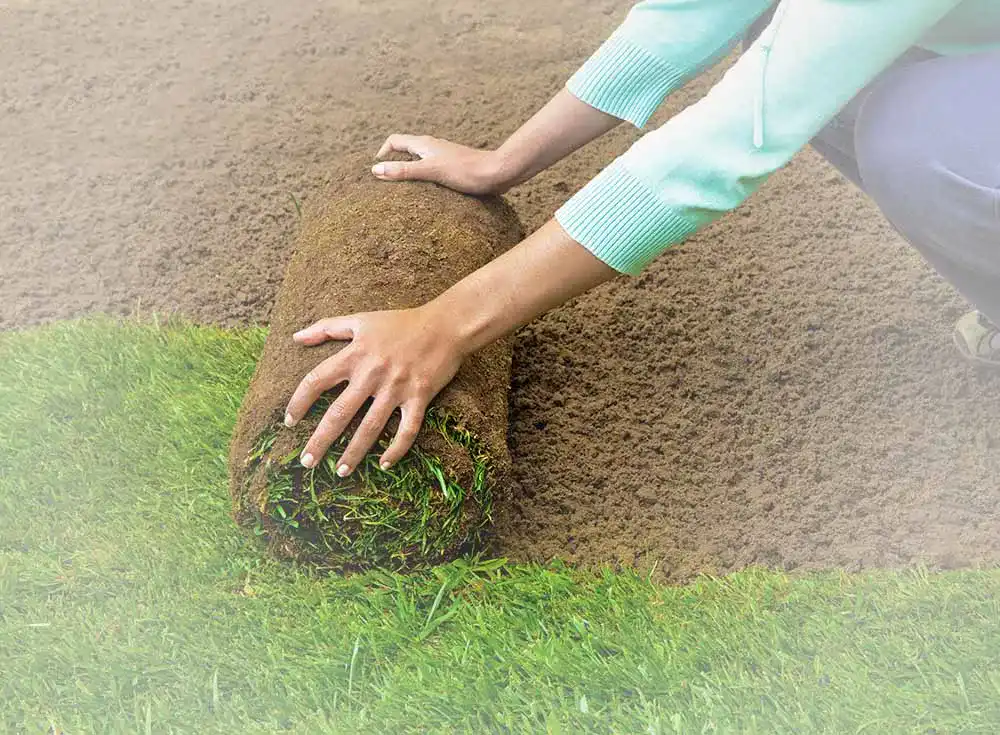 Grasmatte Grasmatte