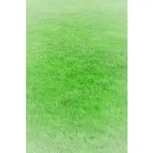 Die beste Grasmatte 2026 Test Bestseller Grasmatte