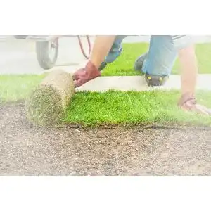 Die beste Grasmatte 2026 Test Bestseller Grasmatte