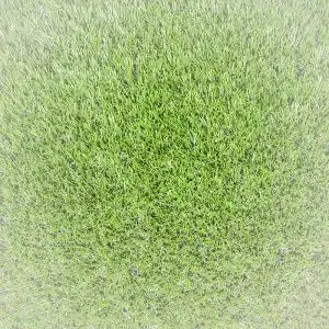 Die beste Grasmatte 2026 Test Bestseller Grasmatte