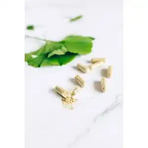 Lecithin-Pulver