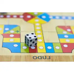 Ludo