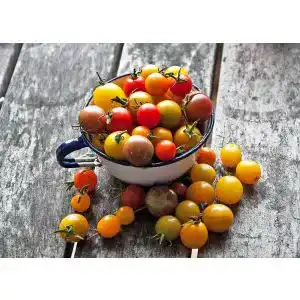 Lycopin-Kapseln