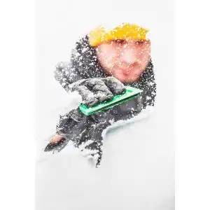 Scheibenenteiser