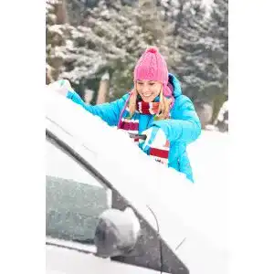 Scheibenenteiser