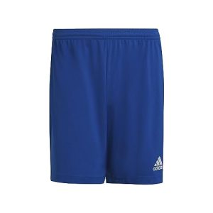 Adidas-Shorts Herren adidas Ent22 SHO Shorts, Team Royal Blue