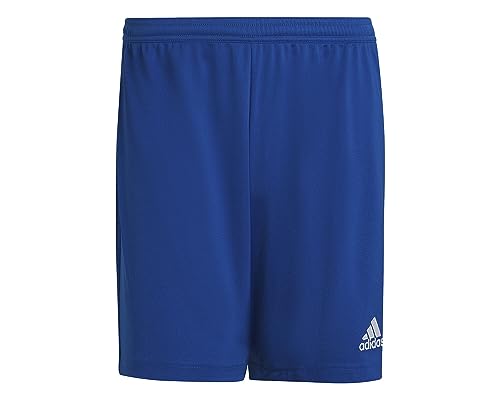 Die beste adidas shorts herren adidas ent22 sho shorts team royal blue Bestsleller kaufen