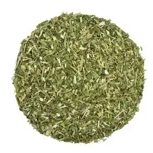 Baikal-Helmkraut