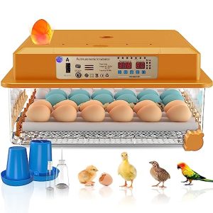 Brutmaschine vollautomatisch Hethya Inkubator Ei