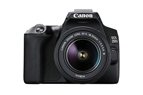 Die beste canon kompaktkamera canon eos 250d digital mit objektiv ef s Bestsleller kaufen