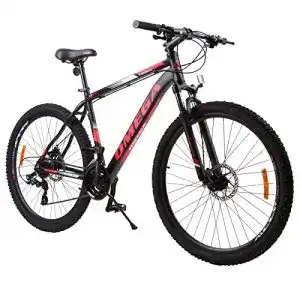 E-Bike 29 Zoll OMEGA BIKES Thomas 27.5-29 Zoll Mountainbike