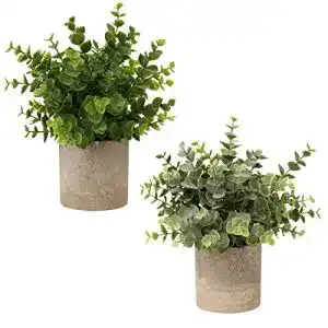 Die beste Eukalyptus künstlich 2026 Test Bestseller Eukalyptus künstlich