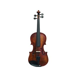 Geige Stentor Verona 4/4 Violine Set