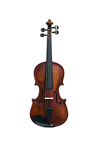 Die beste geige stentor verona 4 4 violine set Bestsleller kaufen