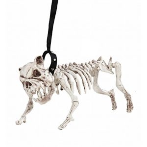Hundeskelett WIDMANN 01373 Skelett Hund mit Leine, 45 cm