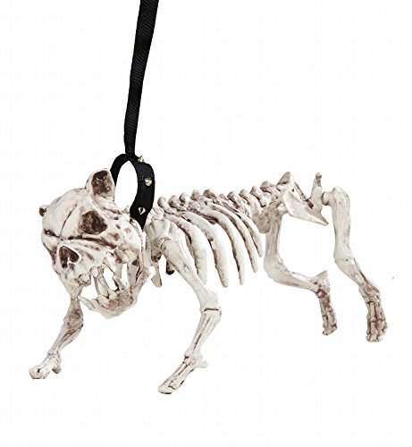 Die beste hundeskelett widmann 01373 skelett hund mit leine 45 cm Bestsleller kaufen