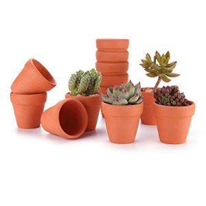 Piccoli vasi di terracotta T4U Set di 5 vasi per succulente in terracotta da 12 cm