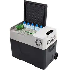Kühlbox mit Rollen