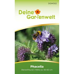 Phacelia-Samen Deine Gartenwelt Phacelia Bienenfreund Samen