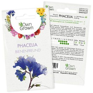 Phacelia-Samen OwnGrown Phacelia Samen: Premium Bienenfreund