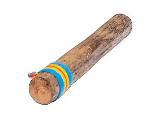Regenmacher Unbekannt Fuzeau 70790 aus Kaktus, 25 cm