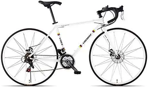 Rennrad (Stahlrahmen) GJZM Mountainbikes 21-Gang -Rennrad