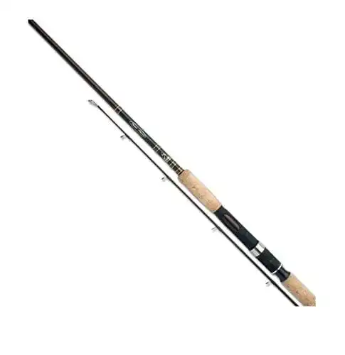 Shimano-Karpfenrute SHIMANO Beastmaster BX Carp 13ft / 3,96m