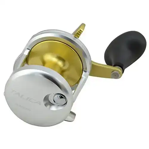 Shimano-Multirolle