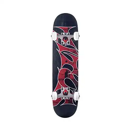 Titus-Skateboard TITUS Skateboard Stained Schranz Micro Kids