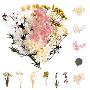 Trockenblumen-Strauß Winkwinky Getrocknete Blumen Natürliche