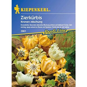 Zierkürbis-Samen Kiepenkerl Cucurbita pepo Kronenmischung