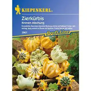 Zierkürbis-Samen Kiepenkerl Cucurbita pepo Kronenmischung