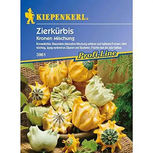 Zierkürbis-Samen Kiepenkerl Cucurbita pepo Kronenmischung