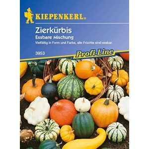 Zierkürbis-Samen Kiepenkerl , Zierkürbis, Cucurbita pepo essbar