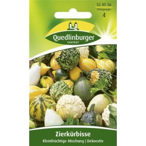 Zierkürbis-Samen Quedlinburger SAATGUT Quedlinburger