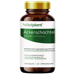 Zinnkraut-Kapseln Vitalplant ® Ackerschachtelhalm Extrakt 500mg