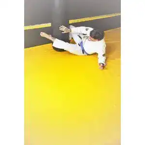 Die beste Bjj-Gi 2026 Test Bestseller Bjj-Gi
