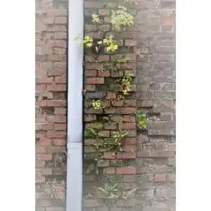 Dachrinne Zink