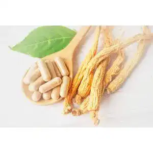 Ginseng-Wurzel